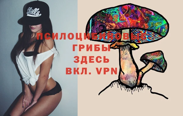герыч Вяземский
