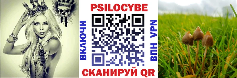 Галлюциногенные грибы Cubensis Зея